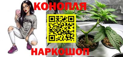 индика Мариинск